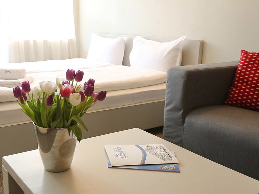 Детайли в интериора - двойна стая на хотел Бялата Лавина в Банско
